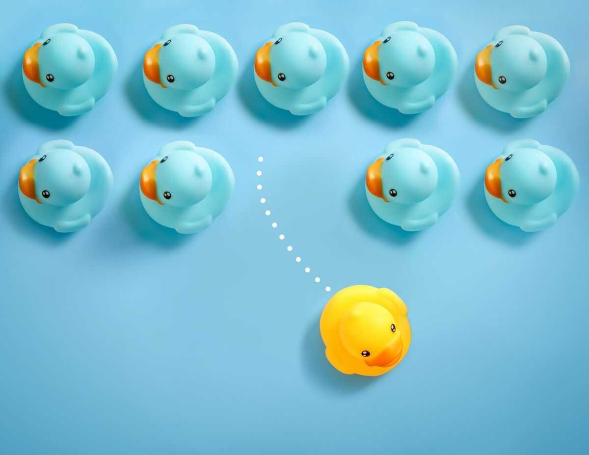 Customer Experience in Florida: The Psychology Behind Customer Trust — pool service business insights