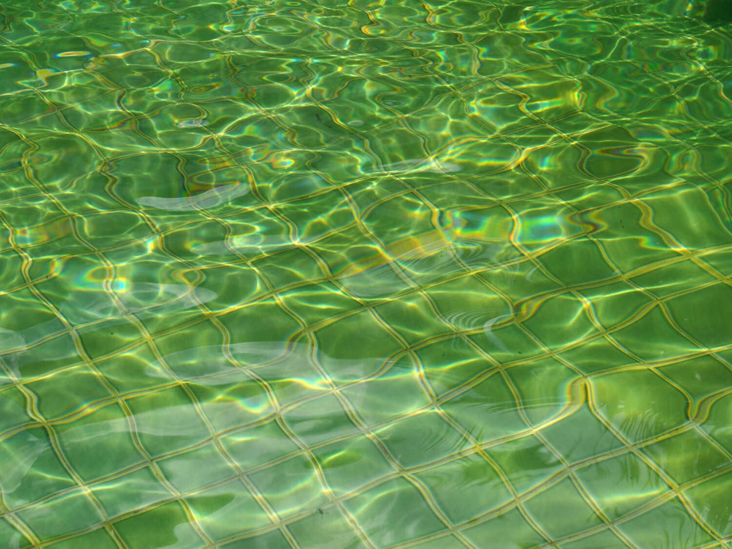 Investing in Professional Photography: Why Quality Images Boost Credibility — pool service business insights