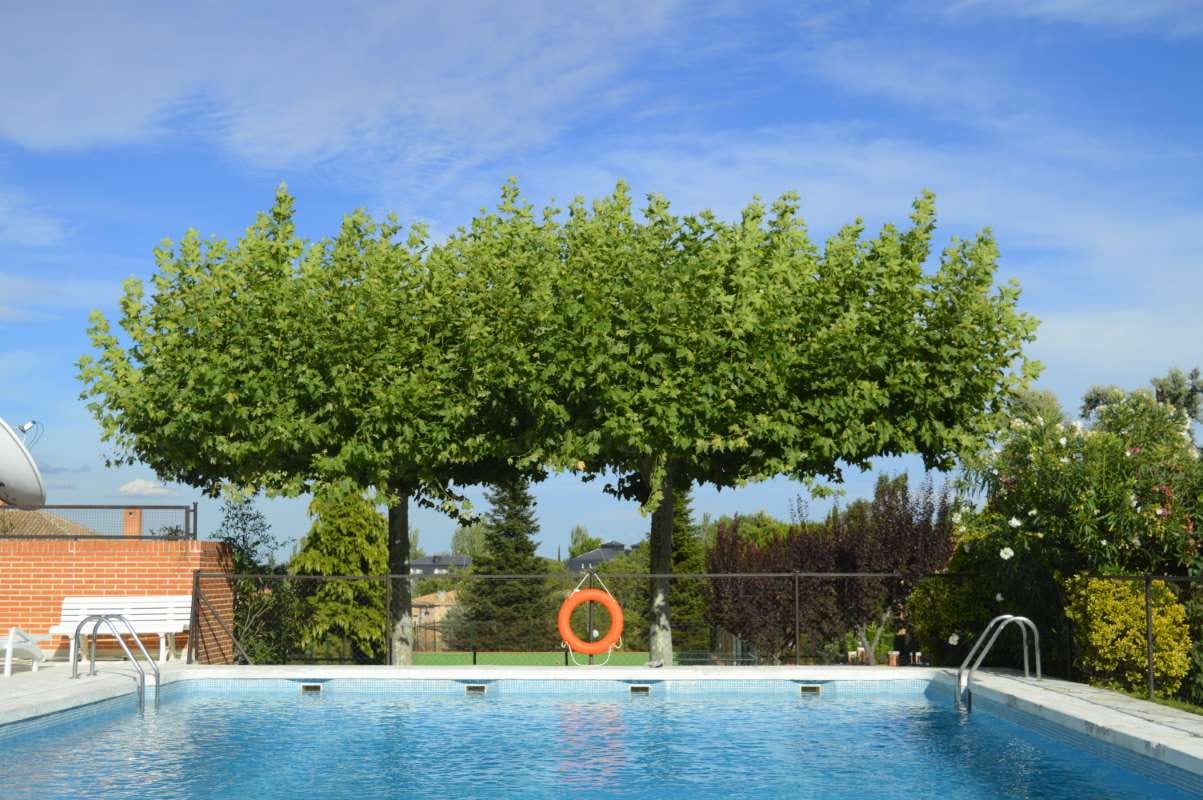 Investing in Sustainable Startups for Pool Tech Innovations — pool service business insights