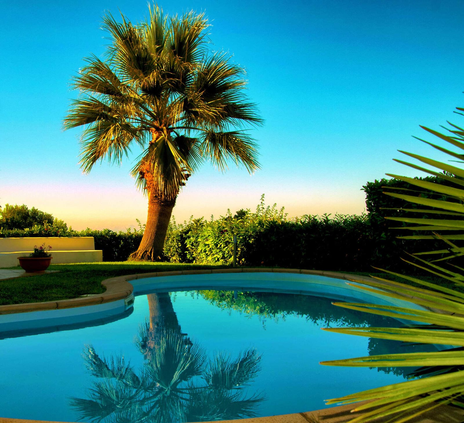 Should You Specialize or Generalize in Pool Services? — pool service business insights