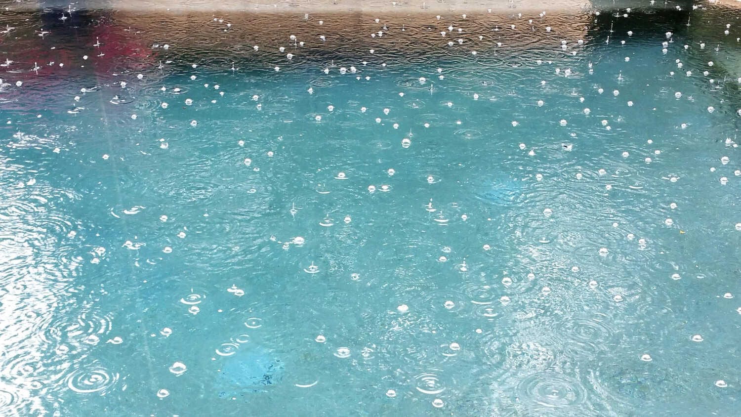 Staying Grounded: How to Avoid Overconfidence After Early Success — pool service business insights