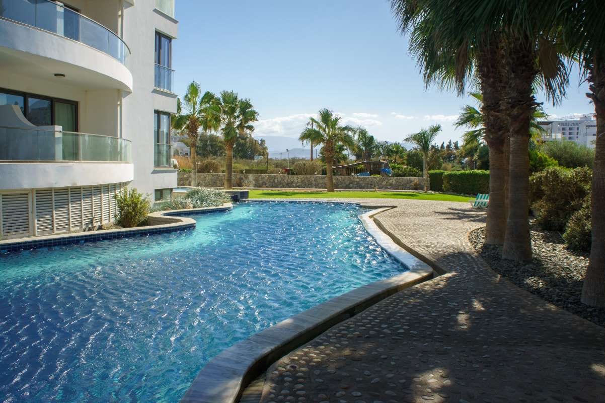 The Most Common Equipment Add-Ons Homeowners Request — pool service business insights